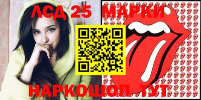 крисы Берёзовский