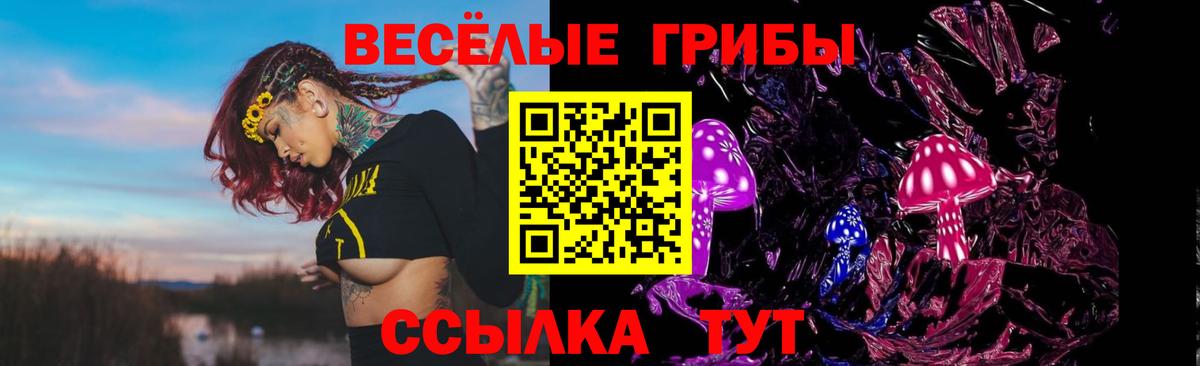Псилоцибиновые грибы Psilocybine cubensis  Вход с VPN  Псилоцибиновые грибы MAGIC MUSHROOMS  Березники 